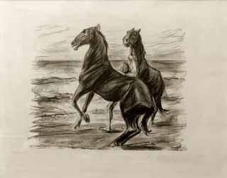 Cavalli in salita